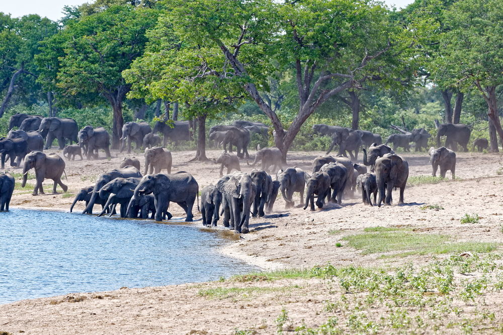 Nambwa Tented Lodge Kongola Eksteriør billede