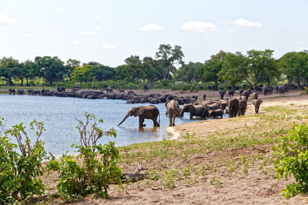 Nambwa Tented Lodge Kongola Eksteriør billede